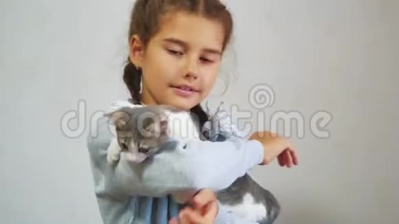 小女孩怀里抱着一只猫科什和女孩宠物友谊的关心和爱儿童和生活方式宠物猫视频的预览图
