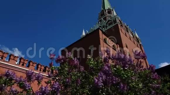 俄罗斯莫斯科克里姆林宫紫丁香和三一塔视频的预览图