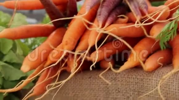 生橙胡萝卜农贸市场蔬菜特写视频的预览图