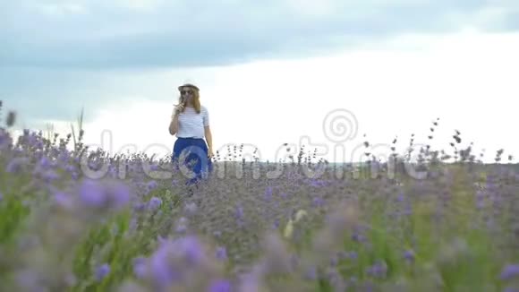 戴帽子的女孩正走在薰衣草的田野上视频的预览图