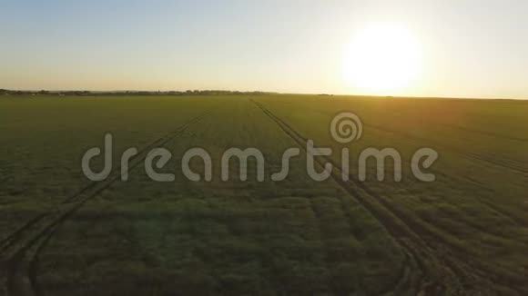 国家绿色田野的鸟瞰大而明亮的太阳升起视频的预览图