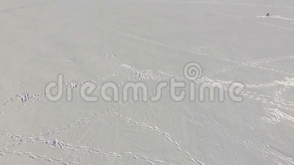 在城市公园附近的冰冻湖上结冰的渔民视频的预览图