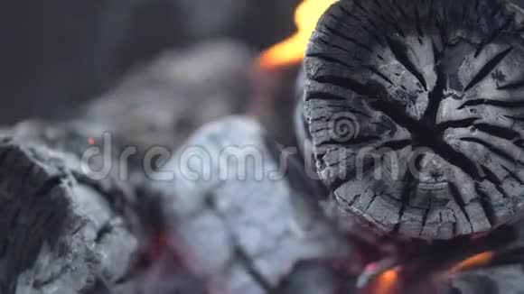 烧烤时燃烧原木和煤视频的预览图