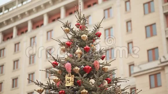 在圣诞树的顶端闪闪发光的灯光和美丽的圣诞装饰在一个大的背景下视频的预览图