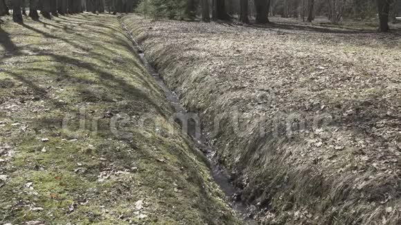 阳光明媚的一天由于雪在森林里的一条沟里融化而形成的泉水视频的预览图