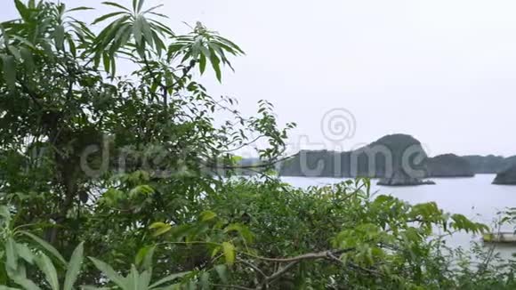 摄像机拍摄了热带岛屿峰的一幕越南湾从岛峰一个海湾的传统船只视频的预览图