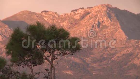 黑山岩石上的树夕阳红霞美丽的天空视频的预览图