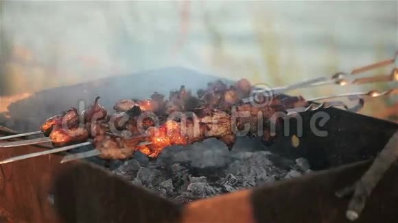 把肉烧到肉串上野餐视频的预览图