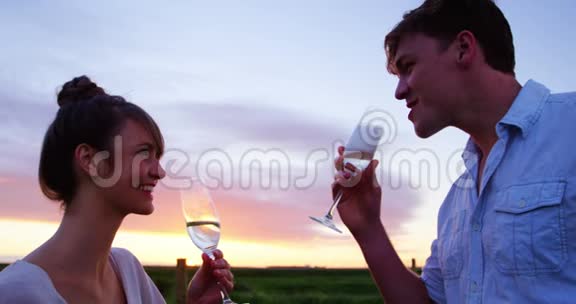 一对浪漫的情侣在野外喝香槟视频的预览图