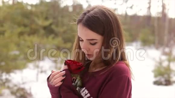 冬天树林里有一朵红玫瑰的女孩全高清视频视频的预览图