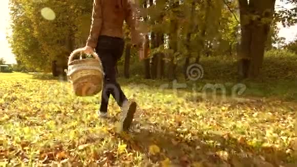 布鲁内特女士拿着野餐篮穿过秋天的森林温暖的晴天慢动作安定夹视频的预览图