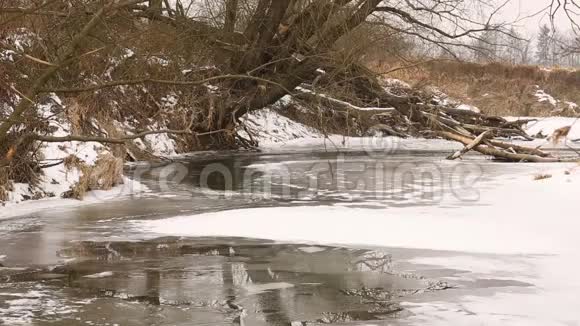 奥德拉奥德河由河漫滩森林和湿地草地流动冬季覆盖一小层视频的预览图