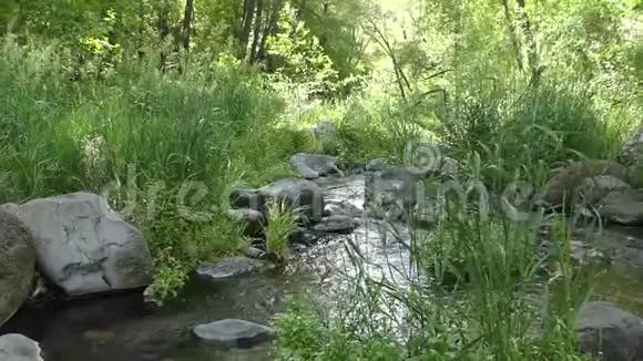 亚利桑那州橡树溪峡谷水在橡树溪流淌岩石草和树木视频的预览图