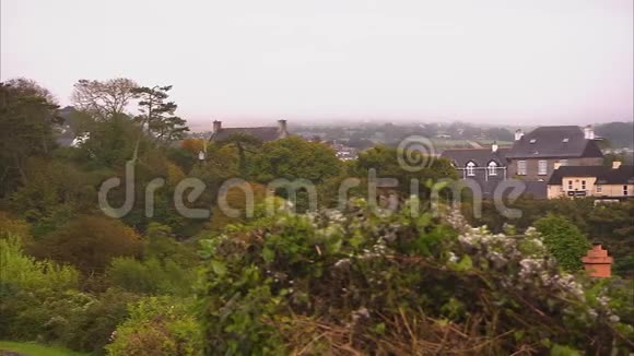 爱尔兰美丽的房屋和树木视频的预览图