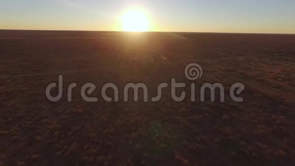 美丽的日落在热带草原纳米比亚视频的预览图