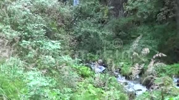 瀑布自然水景景观视频的预览图