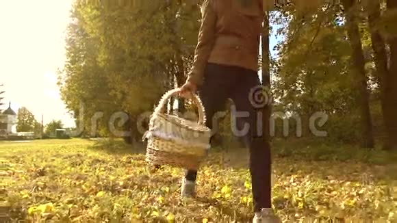 美丽的黑发女人穿过秋天的树林拿着一个野餐篮晴天慢动作稳定录像视频的预览图