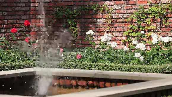 带喷泉的玫瑰花园视频的预览图