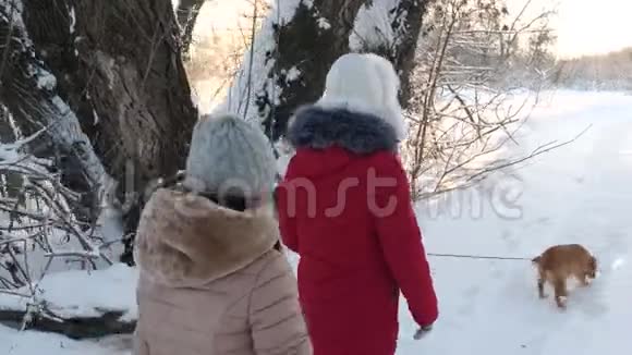 两个女孩和狗和狗在冬季公园沿着小路散步孩子们在森林里冬天在雪地里和狗玩开心快乐视频的预览图