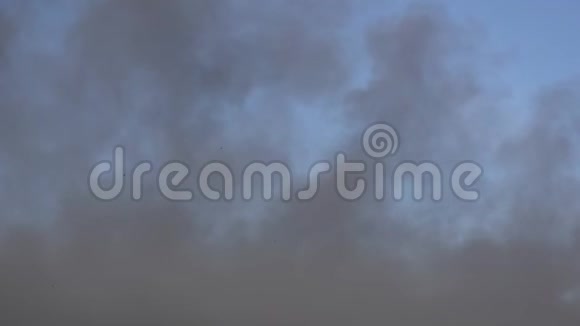 从大火中冒出来的真烟视频的预览图