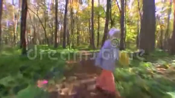 这孩子在秋天的树林里奔跑视频的预览图