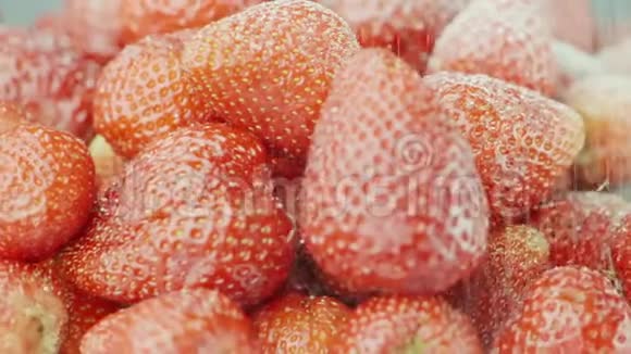 把红色多汁的草莓撒上糖糖粒落在草莓浆果上慢动作视频视频的预览图