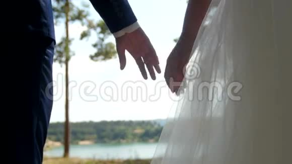 新婚夫妇牵手松林视频的预览图