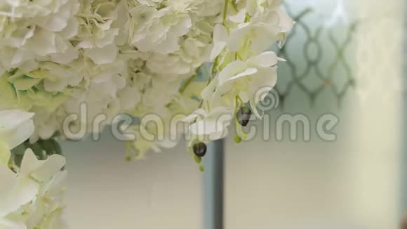 婚礼装饰中白色兰花的特写视频的预览图