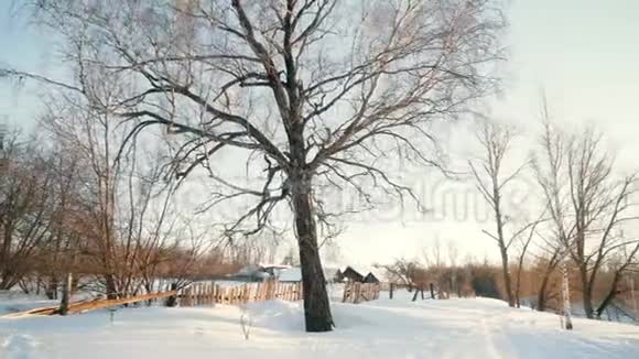 美丽的乡村冬季景观视频的预览图
