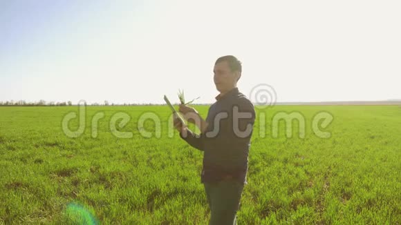 农夫站在麦田里看着平板电脑英译汉1他从事农业工作视频的预览图