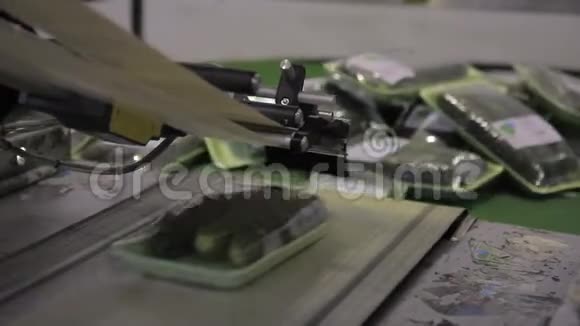 包装黄瓜沿输送带移动在生产车间视频的预览图