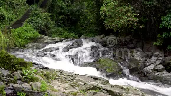 雨林中流动的山间河流视频的预览图