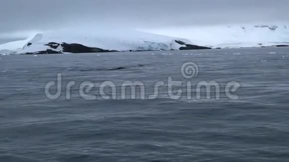 鲸鱼在南极海岸游泳安德列夫视频的预览图