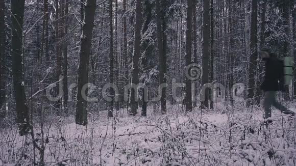 人走雪冬森林旅行者背包在晚上或早上在黄昏视频的预览图