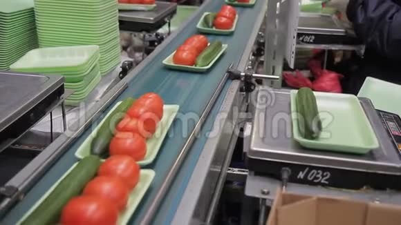 工人称新鲜蔬菜在室内放塑料托盘视频的预览图