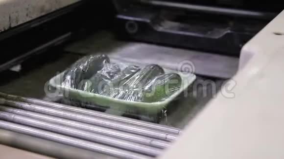 农业控股包装车间传送带上包装的绿色黄瓜视频的预览图