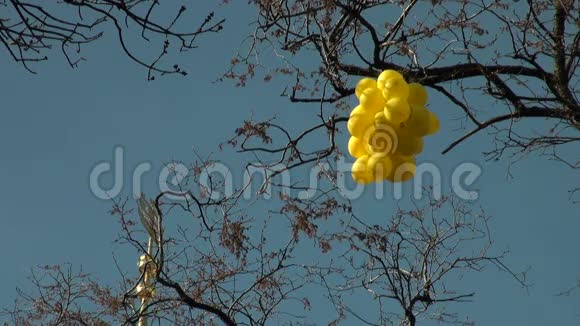 树枝上的黄色气球视频的预览图