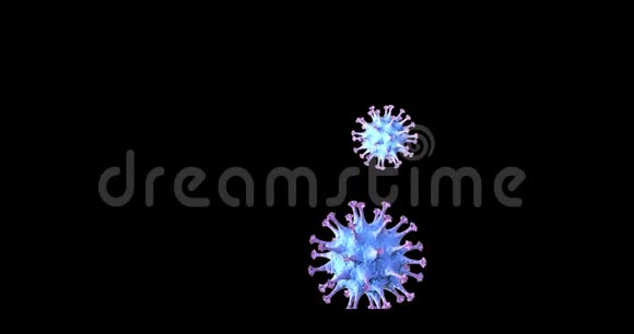 冠状病毒分子在透明的背景上飞行视频的预览图