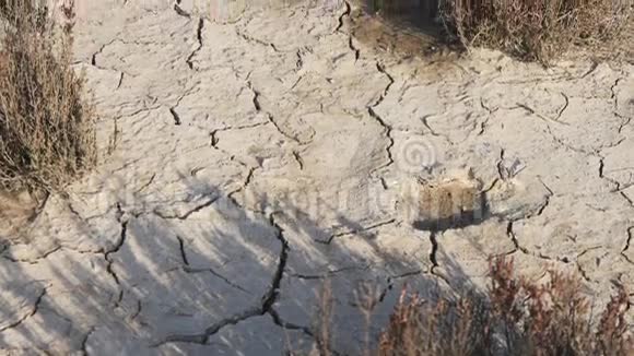 沙漠中脱水的干土视频的预览图