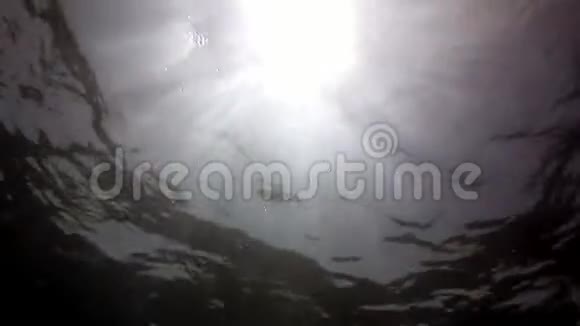 在马尔代夫阳光下观看水下惊人的背景的反射视频的预览图
