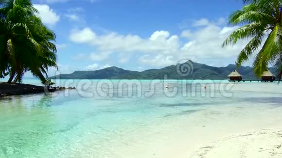 法属波利尼西亚热带海滩和平房视频的预览图