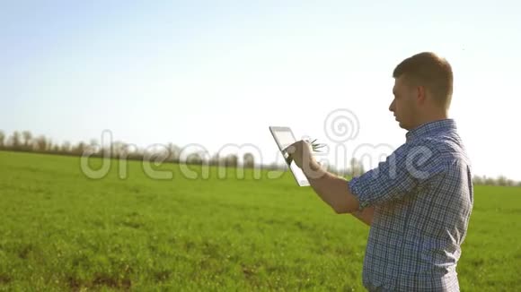 农夫站在麦田里看着平板电脑一个人从事农业一个工人站在一片田地里视频的预览图
