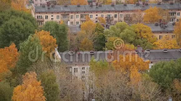 城市里的秋天五彩树房子颜色变淡视频的预览图