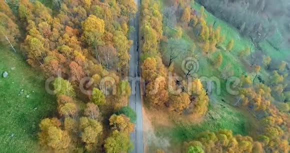 在五彩缤纷的乡村秋林中仰视高空俯视道路秋天的橙绿黄红树视频的预览图