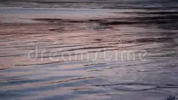 冰在秋天的河流上形成自然背景日落俄布河视频的预览图