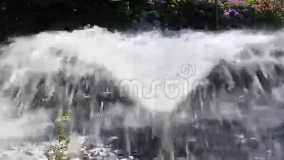 公园里的大瀑布视频的预览图