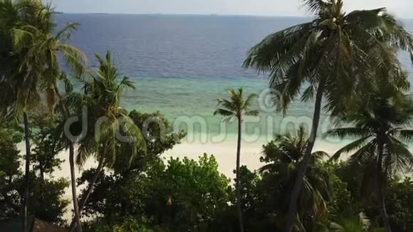 马尔代夫热带白色沙滩和绿松石色印度洋上空的棕榈树上空无人机镜头视频的预览图