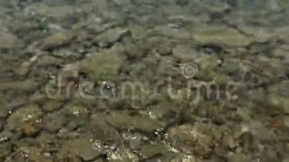 卵石上有海水卵石上海水的特写镜头视频的预览图