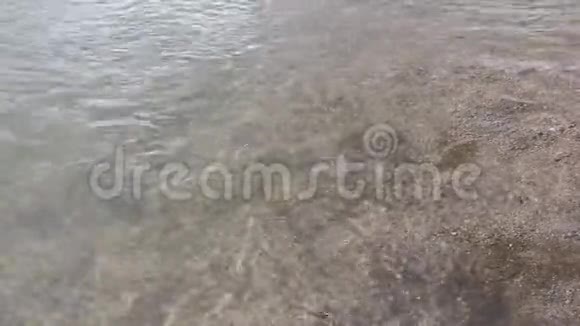 河水中透明的水流顺畅背景自然视频的预览图