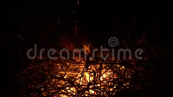 在被树枝包围的黑色背景上燃烧篝火关门视频的预览图